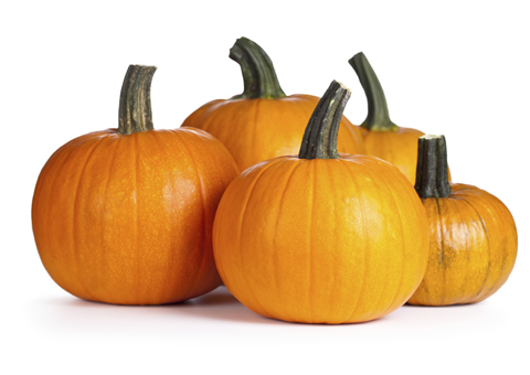 Small_Pumpkins