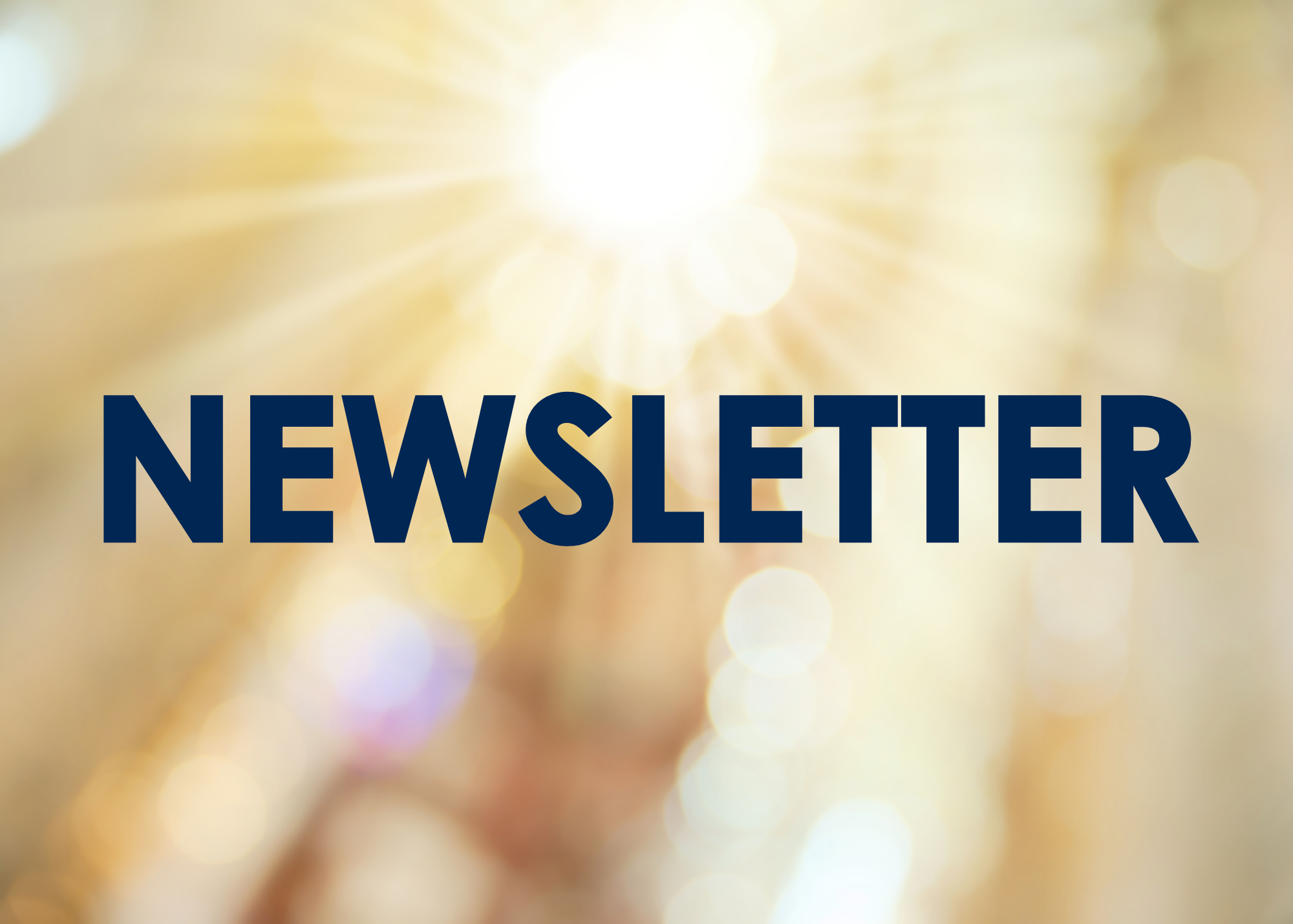 Summer 2025 Newsletter