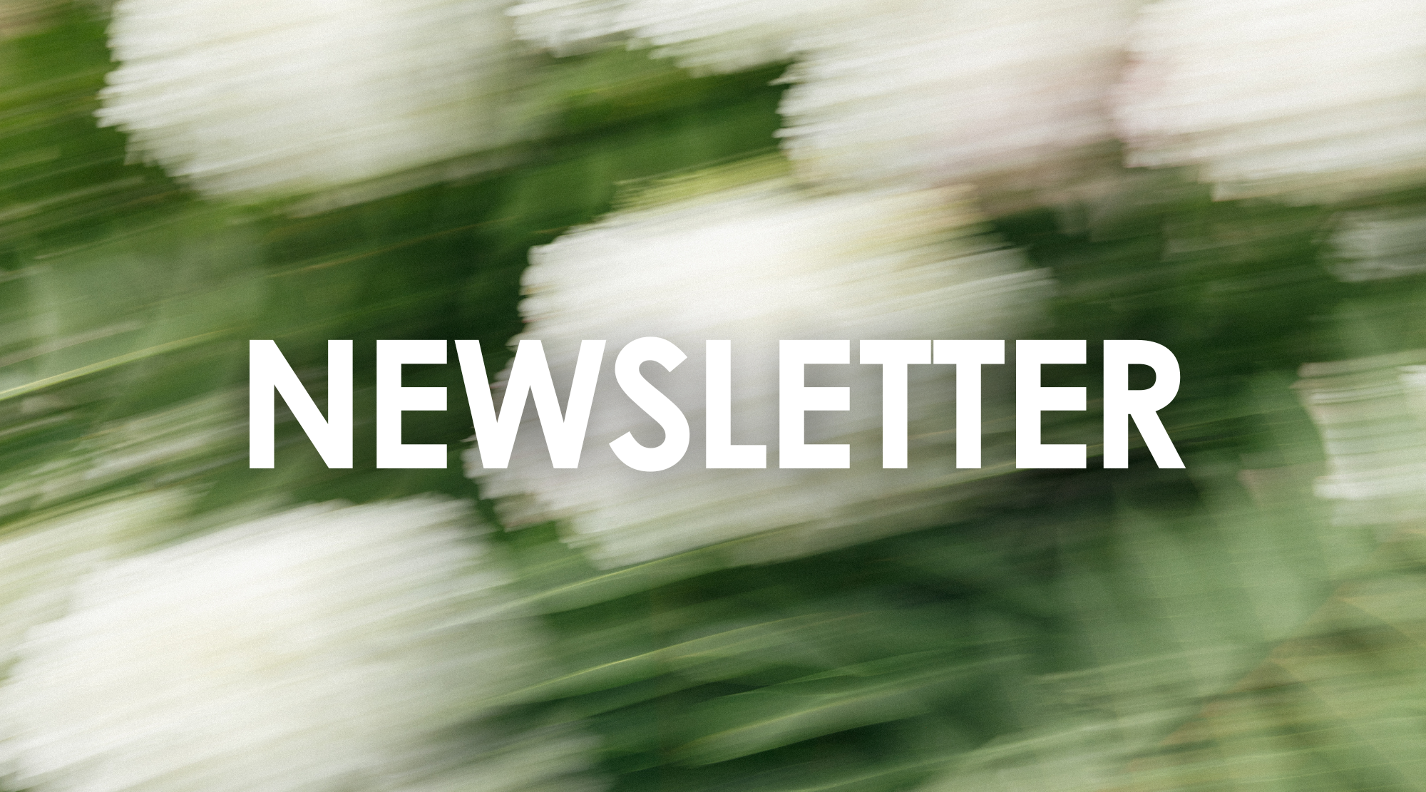 February 2026 Newsletter